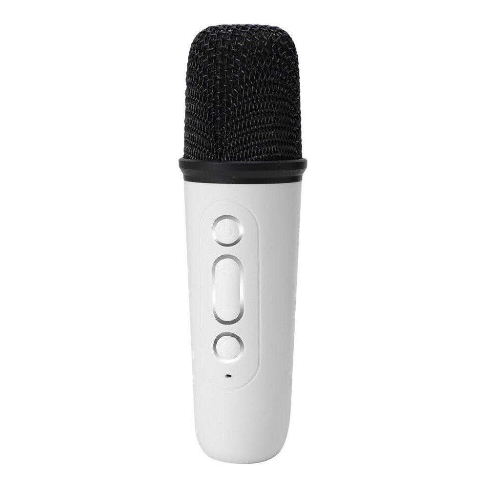 Portable White Bluetooth Karaoke Speaker Machine Kids Mics