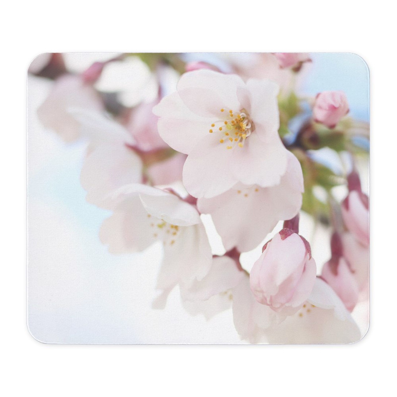 CafePress Pretty Cherry Blossoms Mousepad  (1200838446)