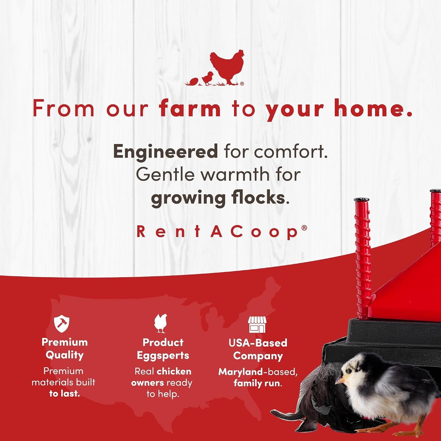 Innovative 12x12” Heating Plate for Chicks - Adjustable and Economical Solution