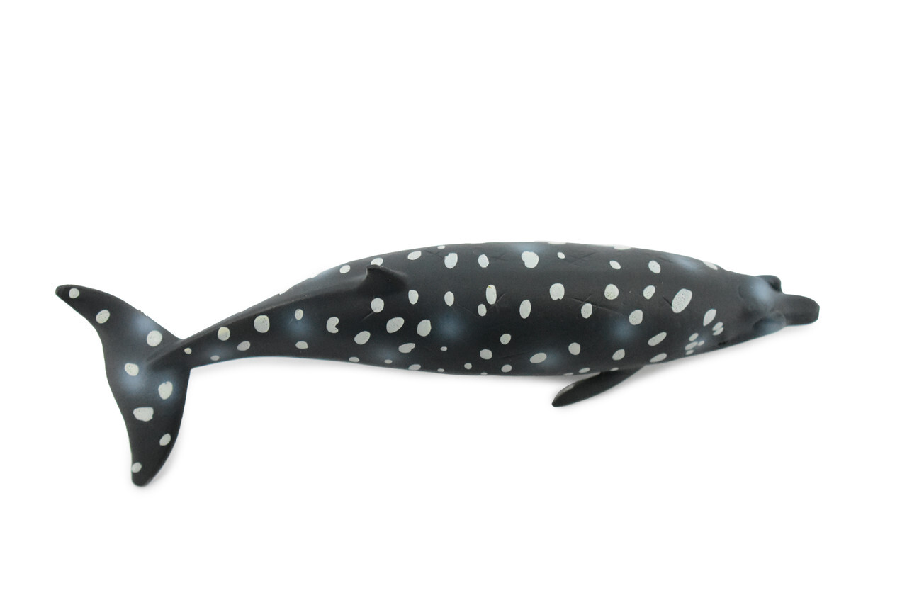 Blainvilles Beaked Whale, Realistic Toy Figure Model Educational 7" CH339 BB134