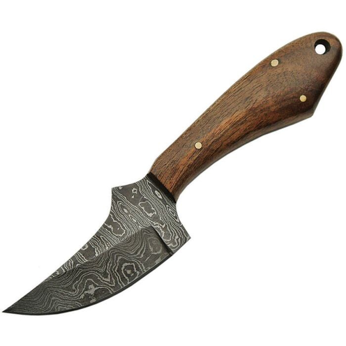 Damascus Fixed Knife 2.87" Damascus Steel Skinner Full Blade Brown Wood Handle