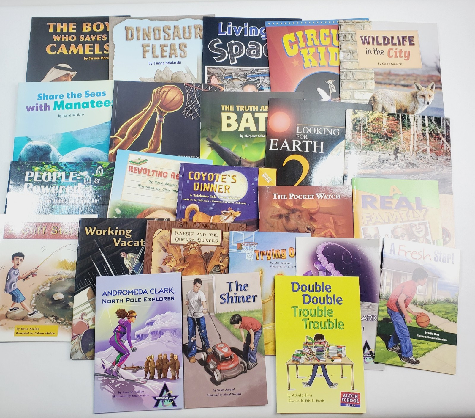 Lot of 24 Fountas & Pinnell LLI Gold System Level O Grade 4 Leveled Readers