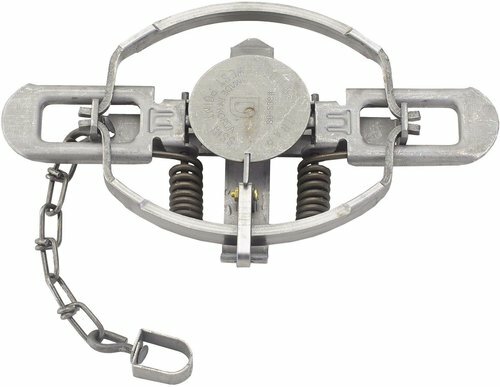 4 Duke # 3 OFFSET Coil Spring Traps 0501 Bobcat Coyote Lynx Trapping Nuisance