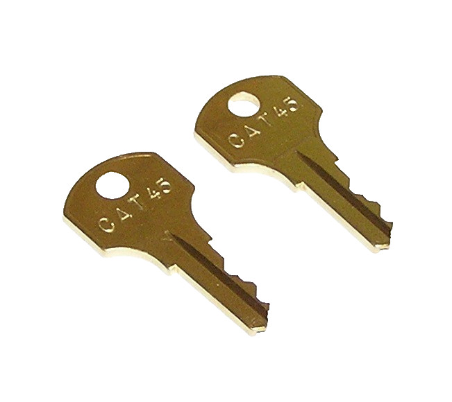 2 - CAT45 Corbin CCL GE EST Edwards Alarm Panel, Enclosure Lock Keys