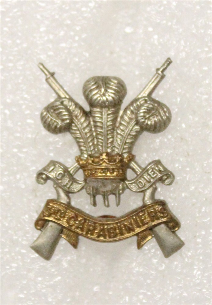 British Army Badge: 3rd Carabiner, Prince of Wale's Dragoon Guard - bi-metal