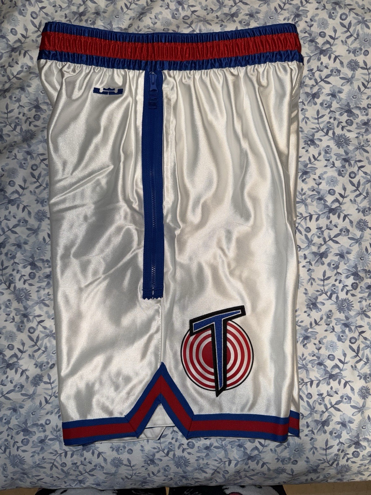 Nike Space Jam 2 DNA Shorts LeBron x 'Tune Squad' Size Boys XL / Men’s Small