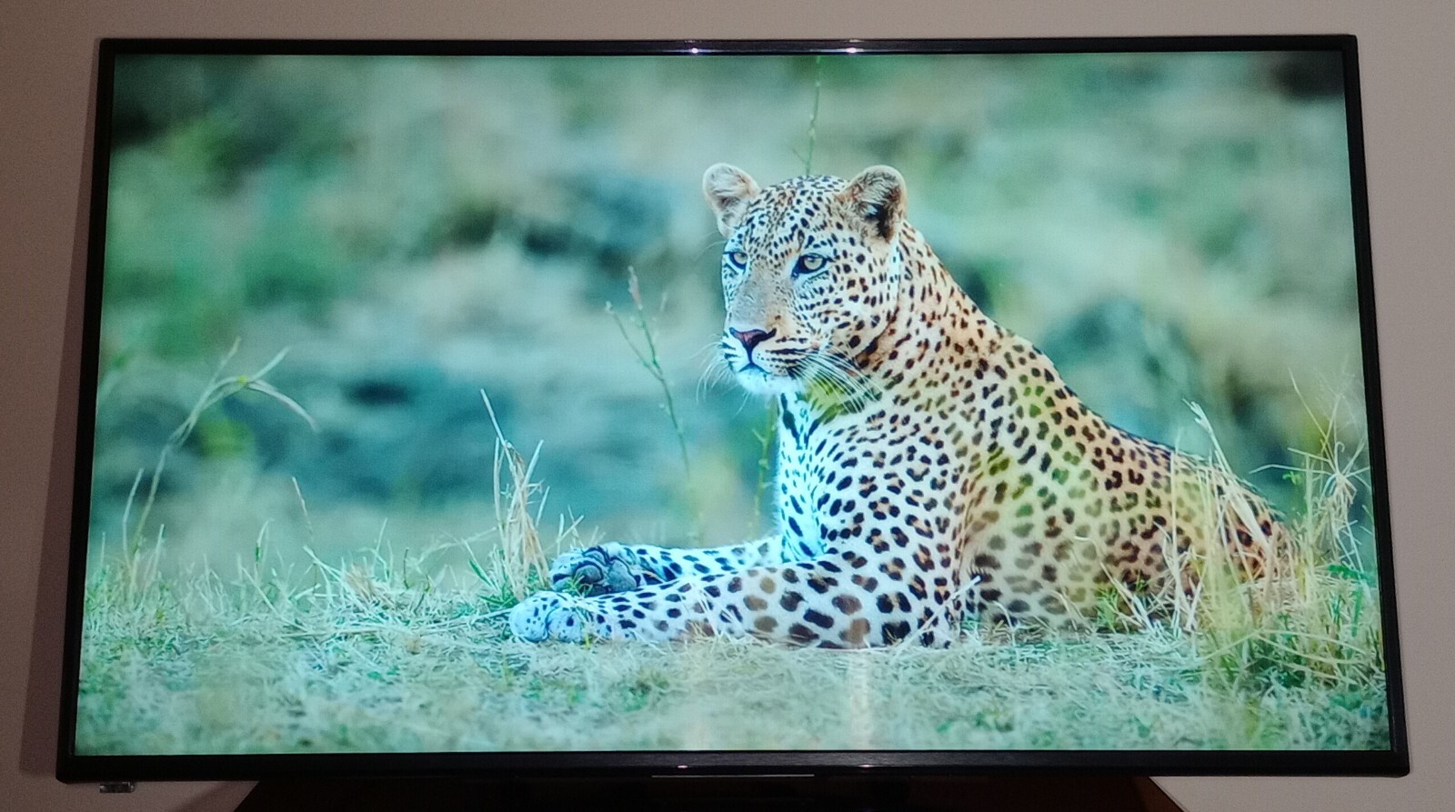 Ganz 43 inch LED Public View Monitor - 1080p - ZM-L43 - No Remote - No Stand