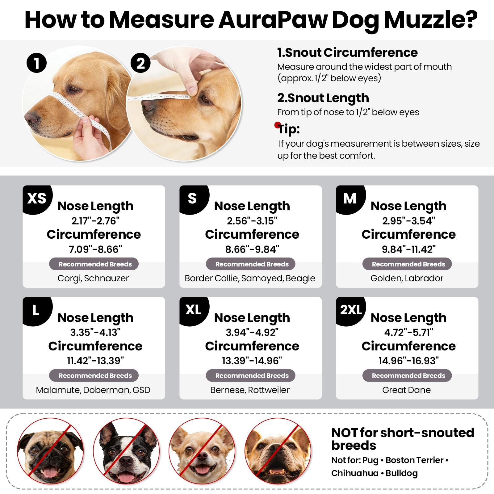 AuraPaw Reflective and Adjustable Mesh Muzzles for Border Collie, Samoyed | A...