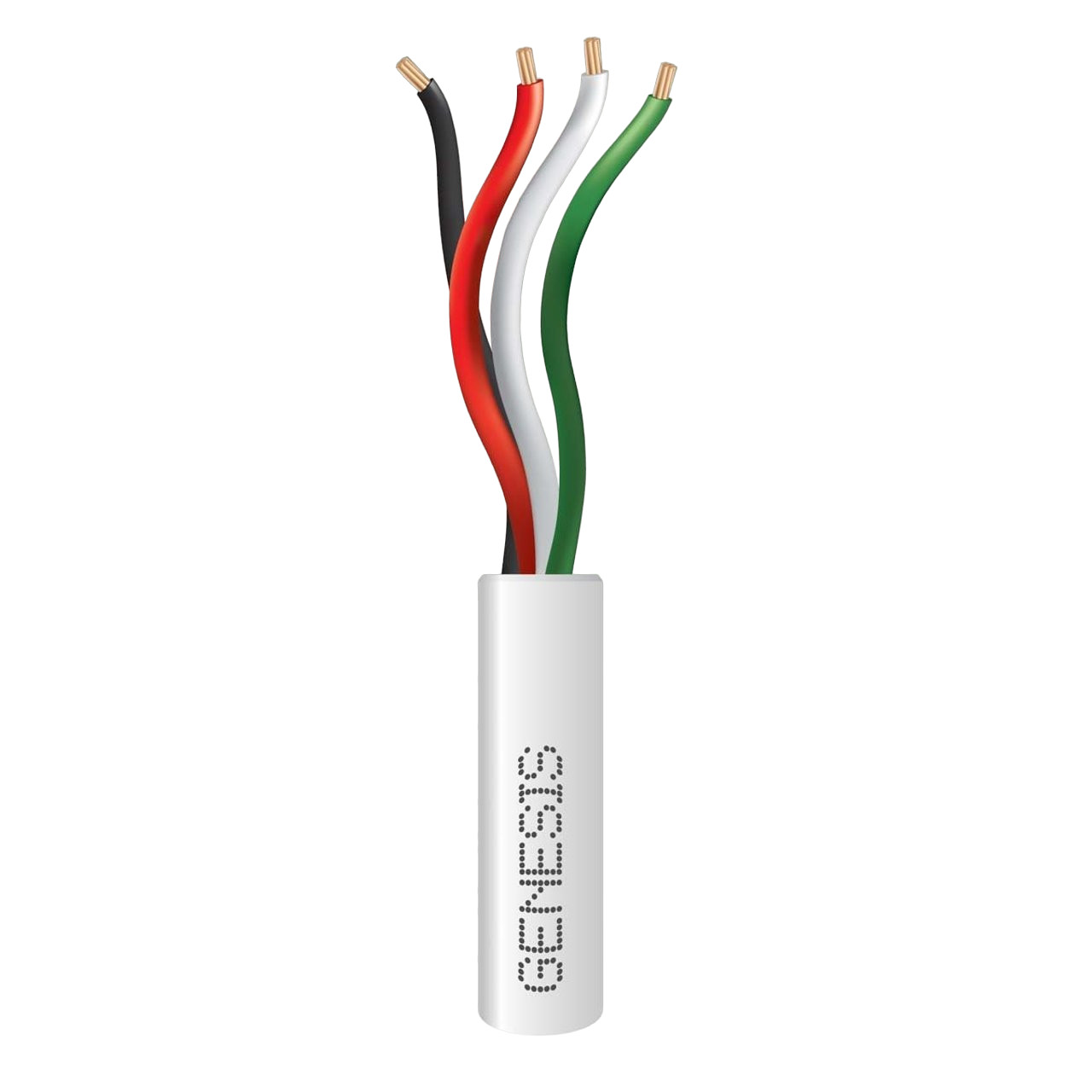 GENESIS 21041101