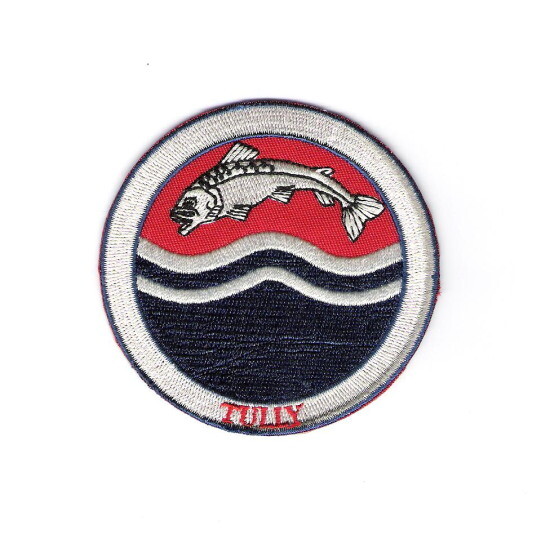 Game of Thrones House of Tully Logo Embroidered Patch -new