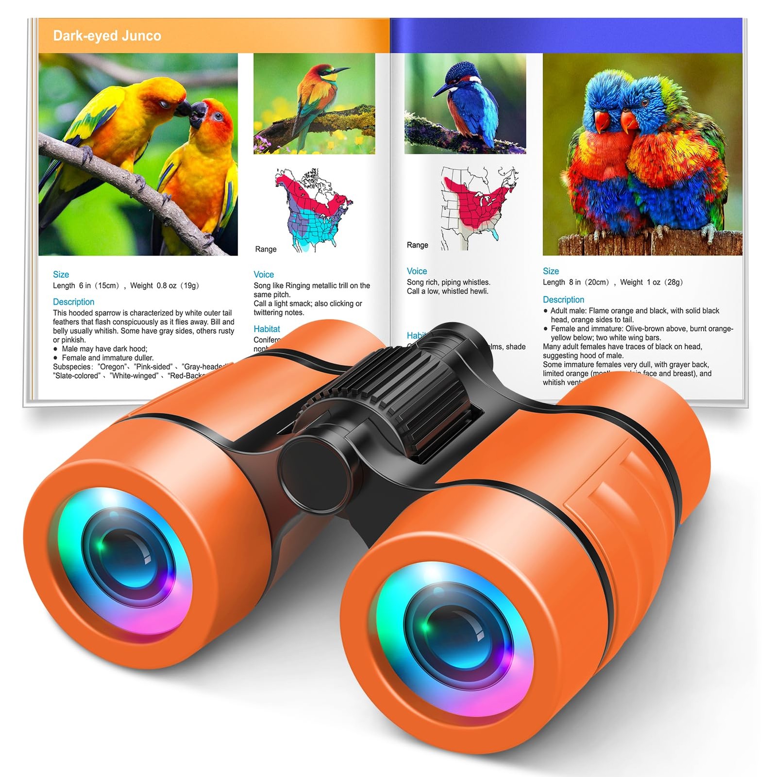 3-8 Year Old Boy Girl Toys: LET'S GO! Shockproof Binoculars for 4x30, Orange