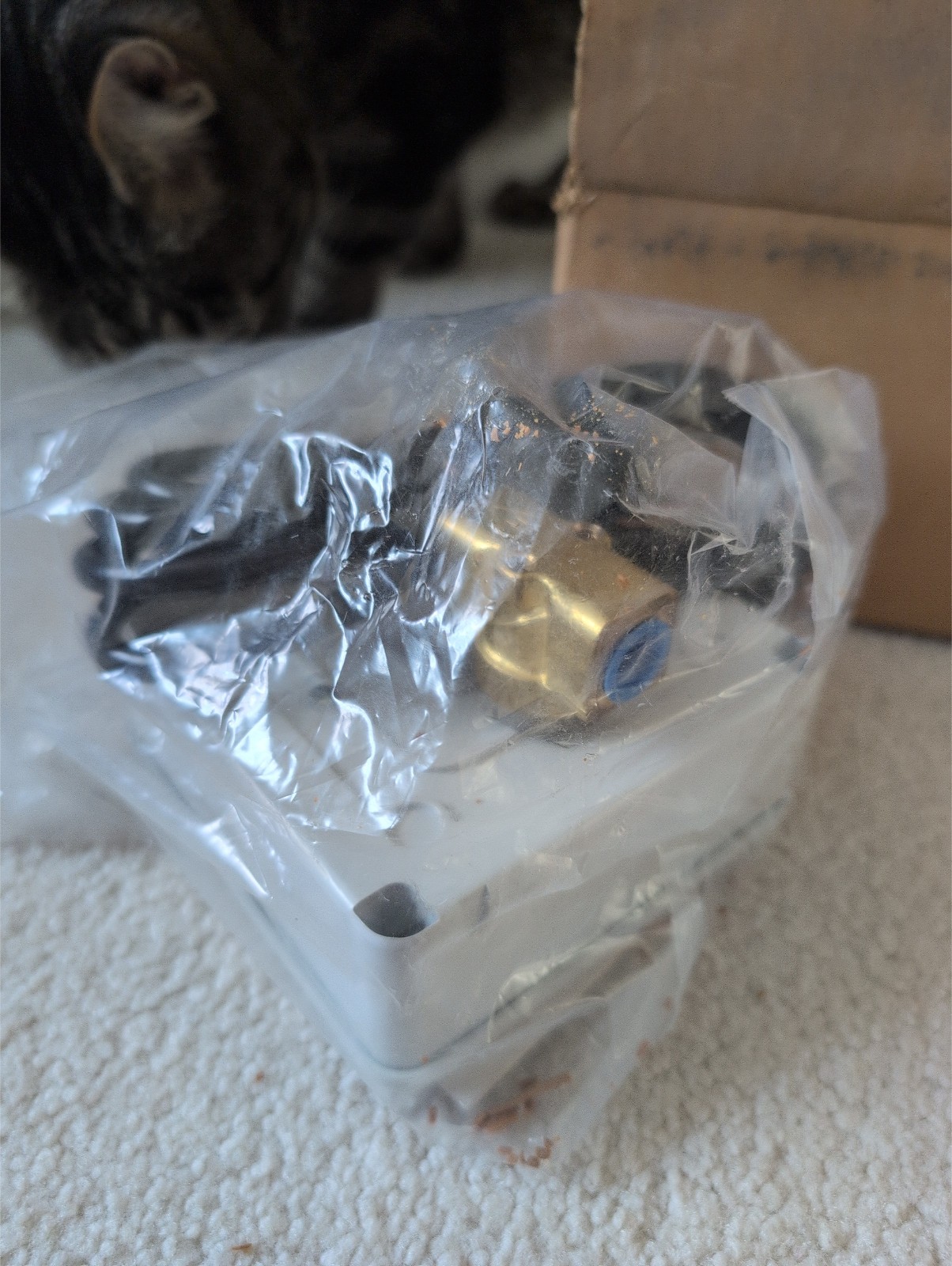 SPEEDAIRE 6Z948A AUTO ELECTRIC DRAIN VALVE
