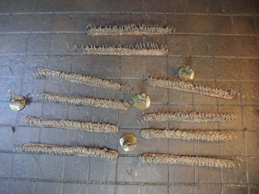 Wargame Terrain 15mm 20mm 1/72 Barbed Wire Obstacles  (10 pc) Desert Style