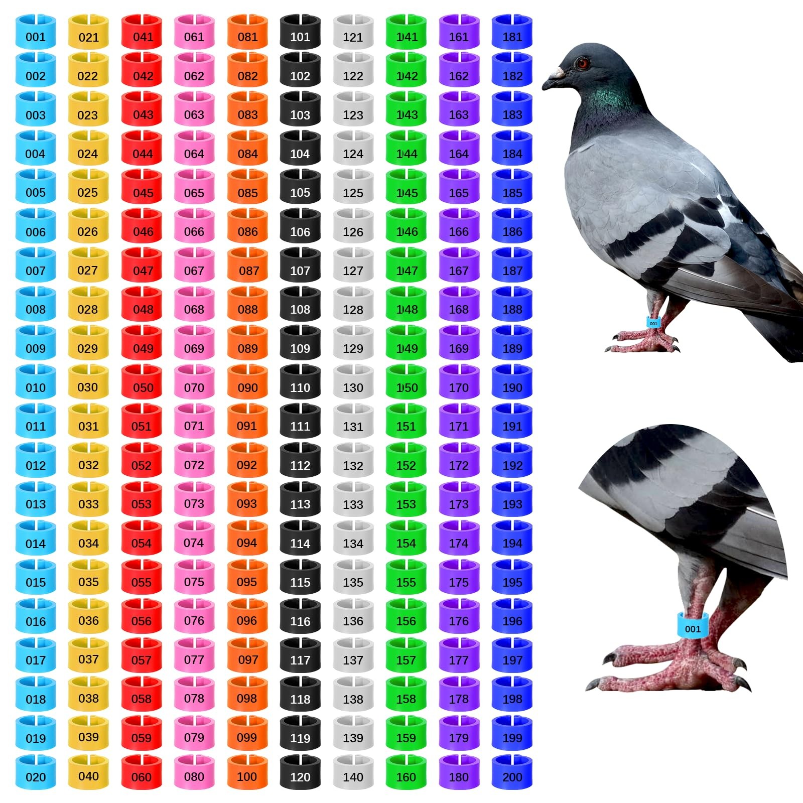Poultry Leg Bands 200 Pcs 8mm Colorful Numbered