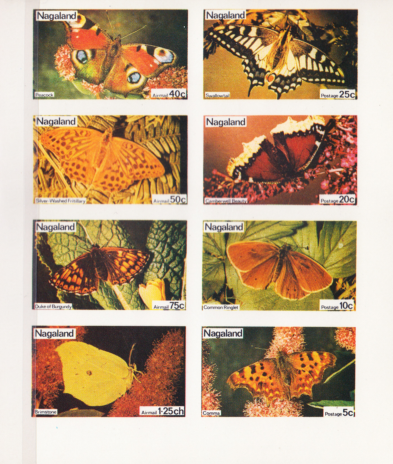 W NAGALAND ST 037v MS BUTTERFLIES IMPERFORATED MINI SHEET