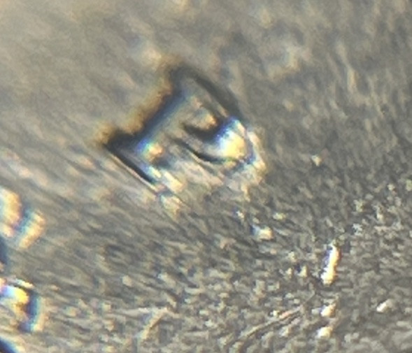 2020 P Quarter Errors DDO Salt River Bay P Over P Strike Through Grease