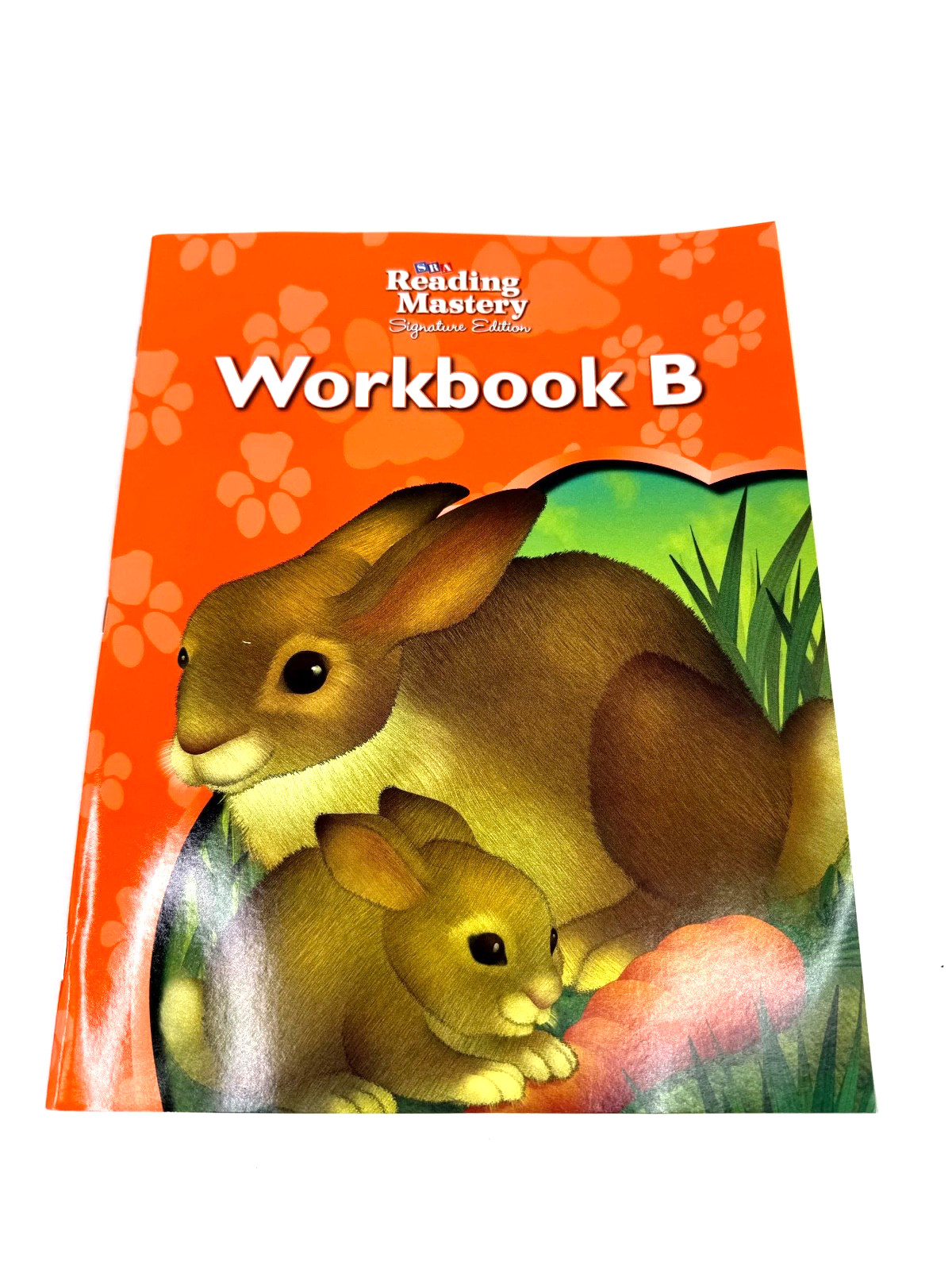 Reading Mastery Reading/Literature Strand Grade 1, Workbook B  NEW!