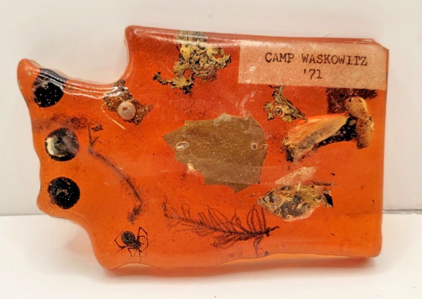 Camp Waskowitz 1971 Vintage Keepsake Souvenir One of a Kind