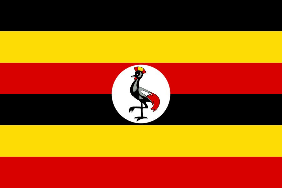 Learn Swahili Fast -The Most Complete & Comprehensive Language Course on USB