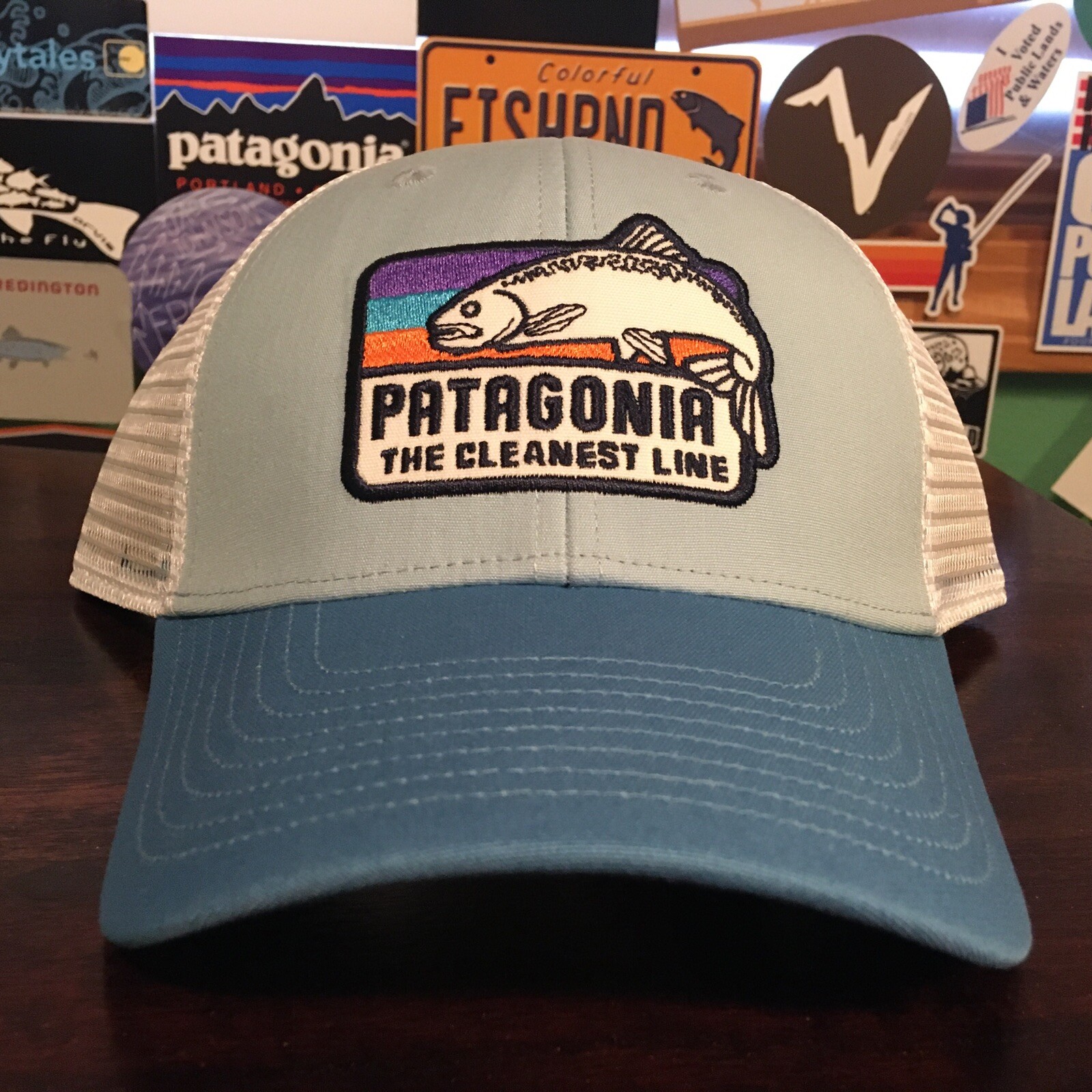 Patagonia The Cleanest Line Fish Tubular Blue LoPro Trucker Hat