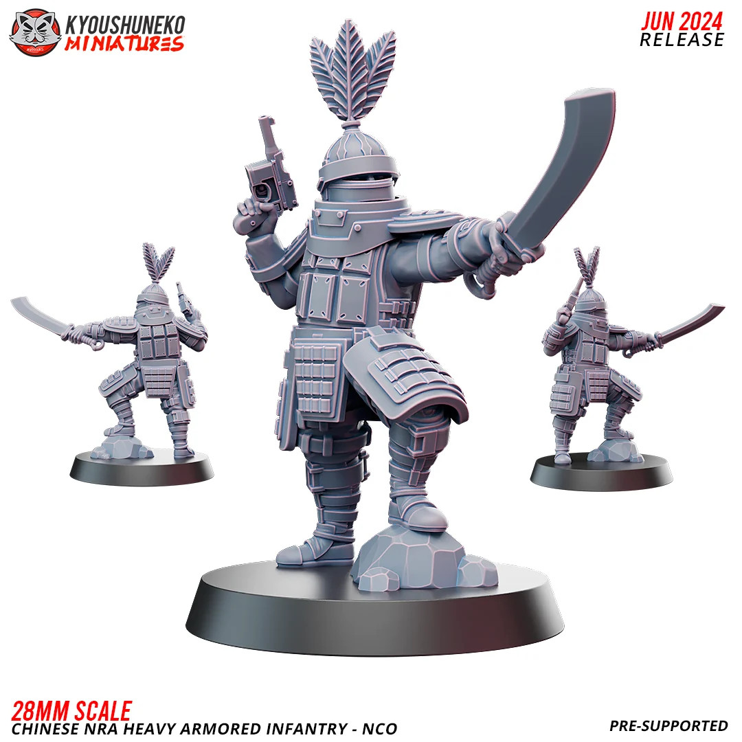 Chinese NRA Heavy Armored Infantry - NCO - 15-54mm Resin Tabletop Miniature