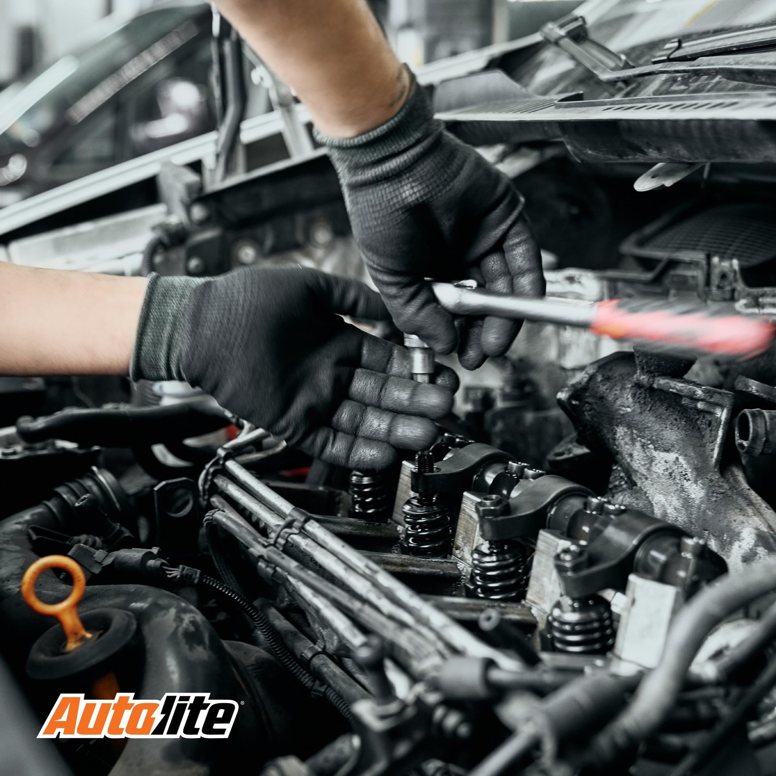 Autolite Iridium XP Automotive Replacement Spark Plug, XP5224 (1 Pack) 1