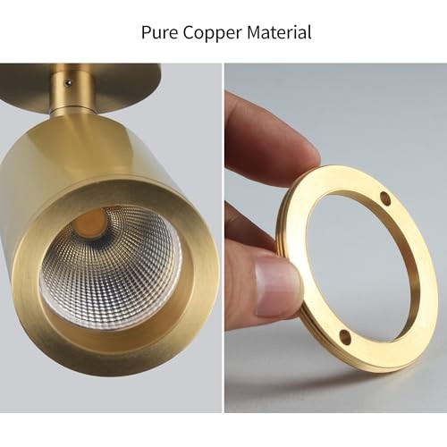 Aisilan Solid Copper Surface Mounted Angle Adjustable 7W-3000K Warm White Gold