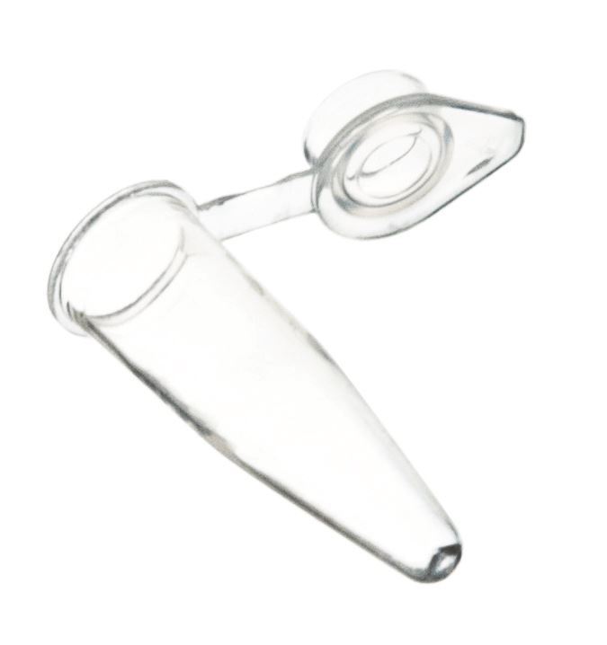 PCR Tubes, Polypropylene - 0.2ml, Flat Cap - Pack of 100 - Eisco Labs
