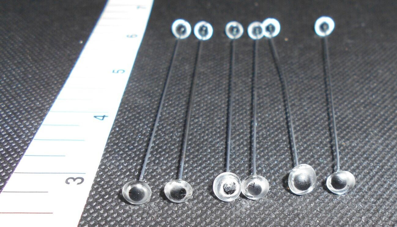 Raymond C. Rumph & Sons Glass Eyes - 6 pairs / 12 eyes - Size Medium (6mm)