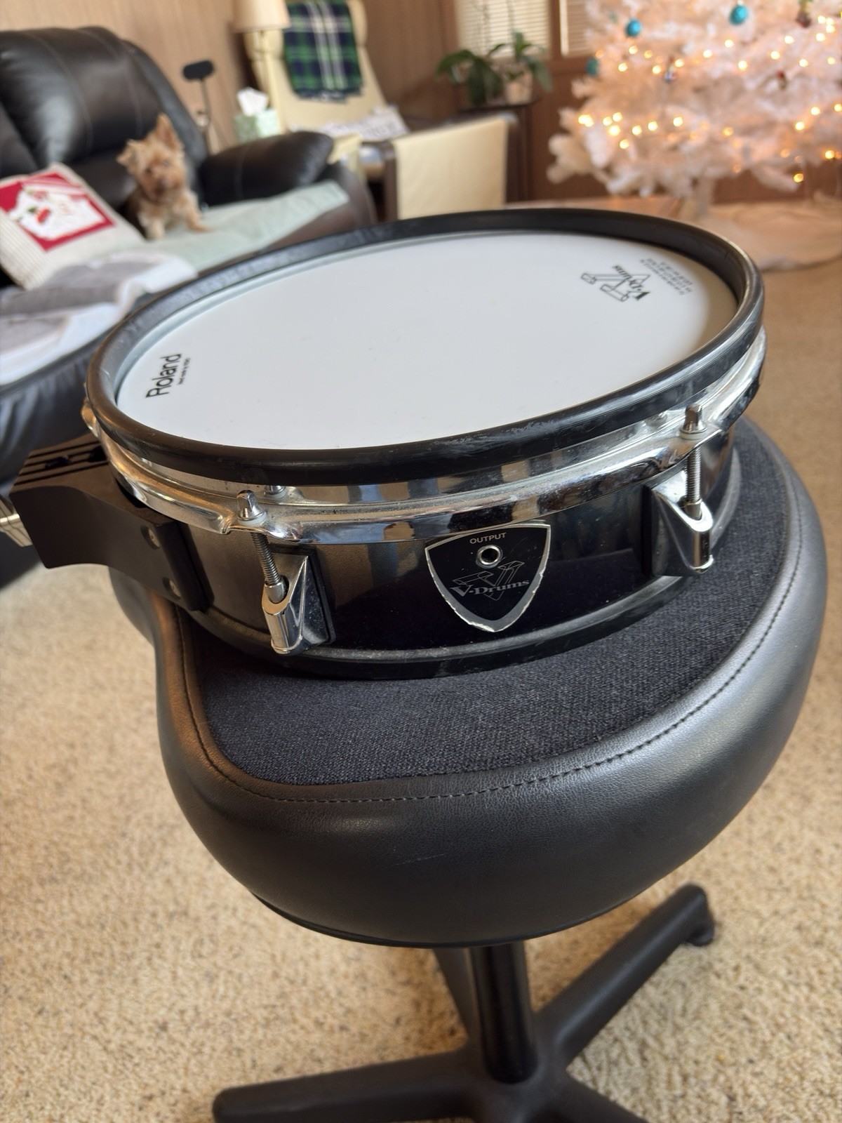 Roland V-Drums
