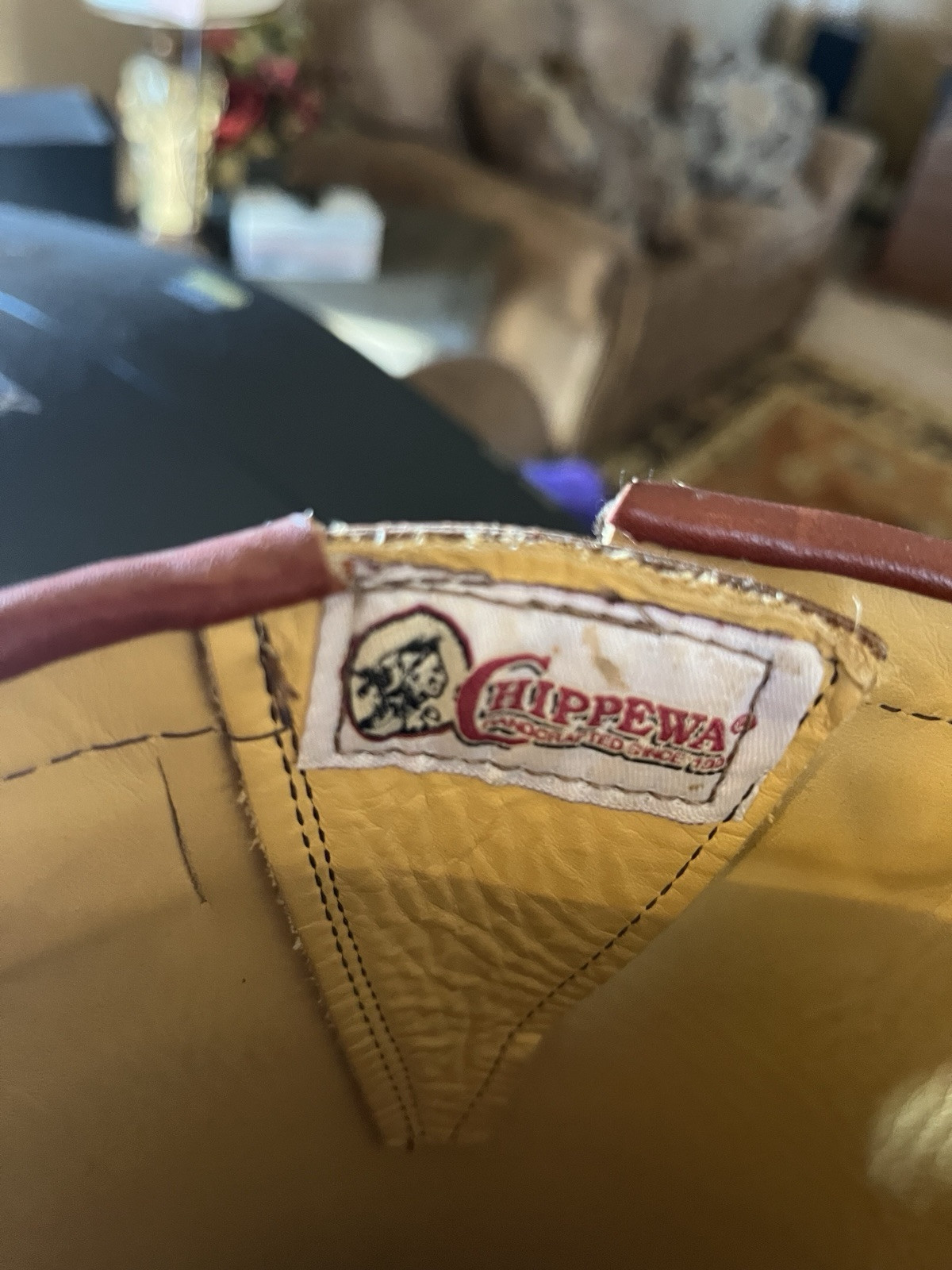 Chippewa Snake Boots pre owned