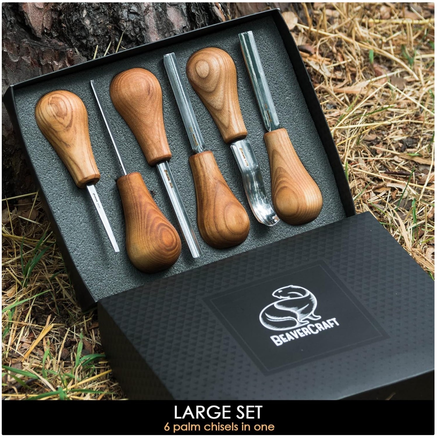 Wood Carving Tools - Chisels & Gouges Collection