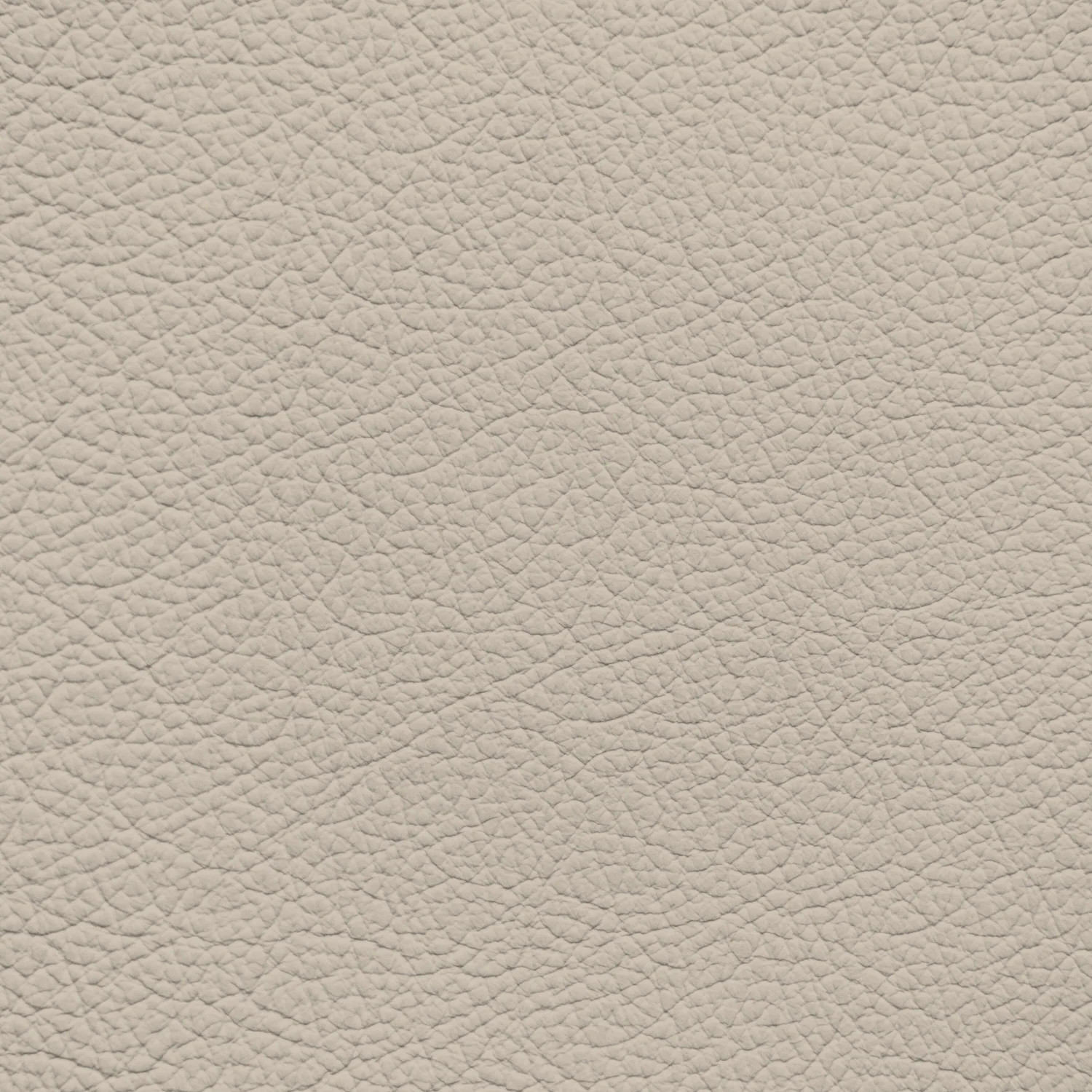 Audi Ecru Leather Dye