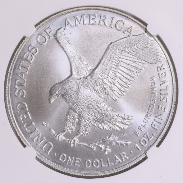 2025 1 oz American Silver Eagle Coin