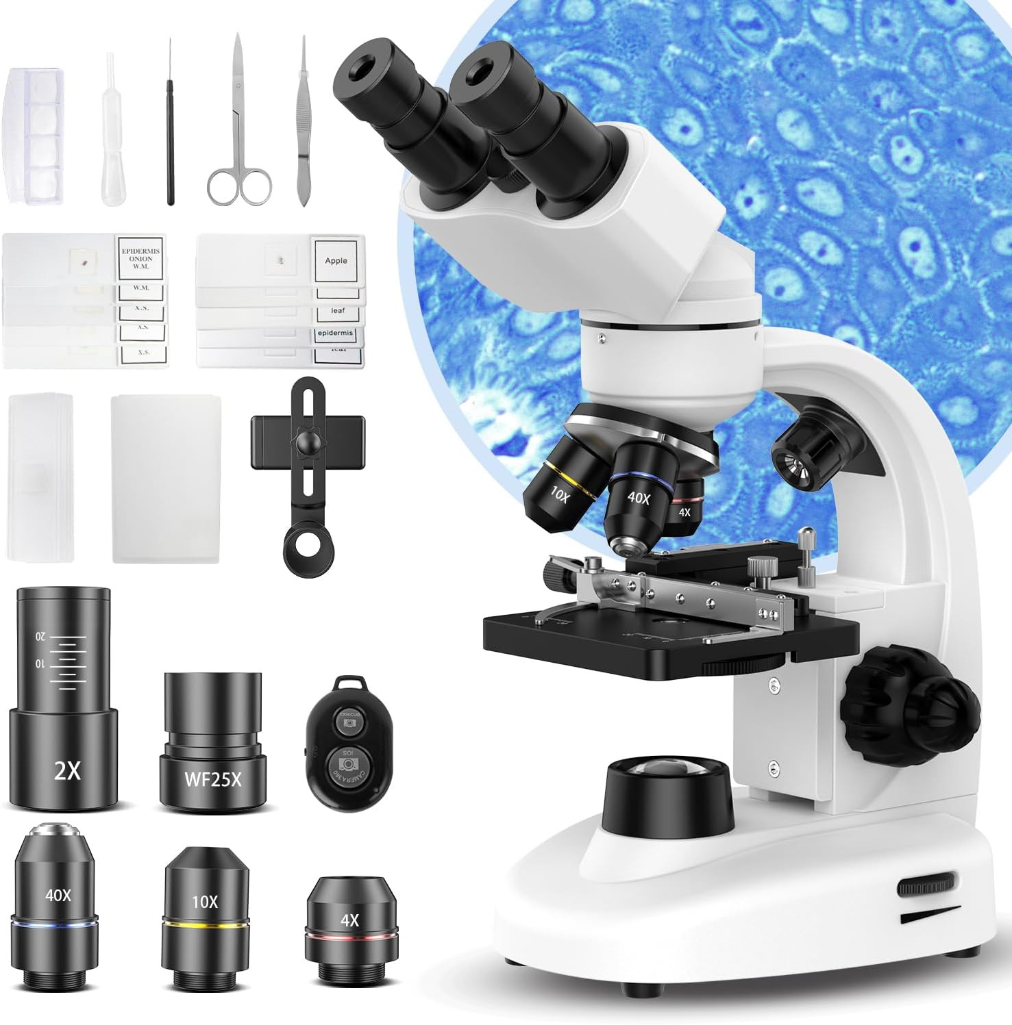 Compound Binocular Microscope for Adults, Professionals & Kids, Very Precise