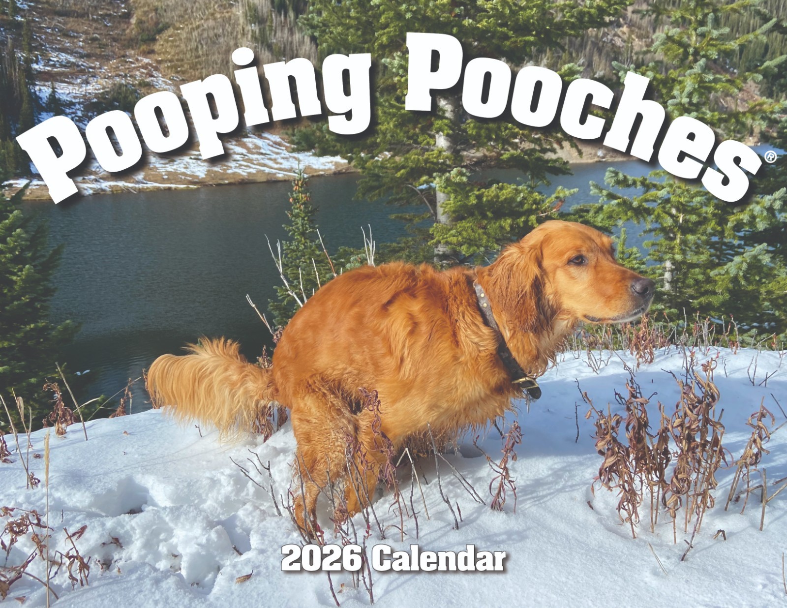 2026 Pooping Pooches Dog Calendar, White Elephant Gag Gift Exchange Yankee Swap