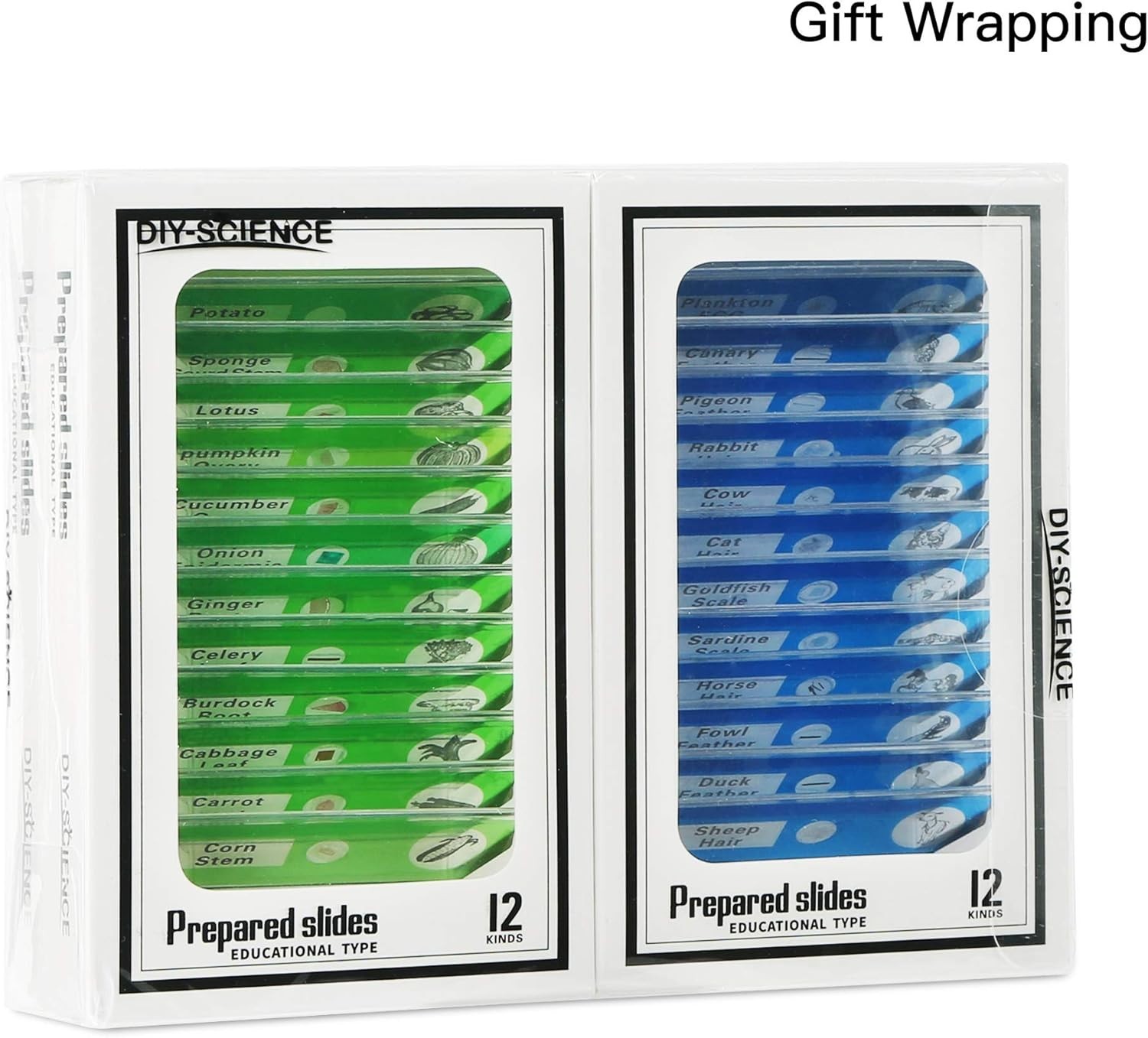 48 Prepared Microscope Slides for Kids - Safe & Clear Science Education