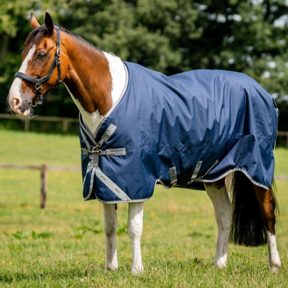 Horseware Amigo Bravo 12 XL Medium Turnout 150g