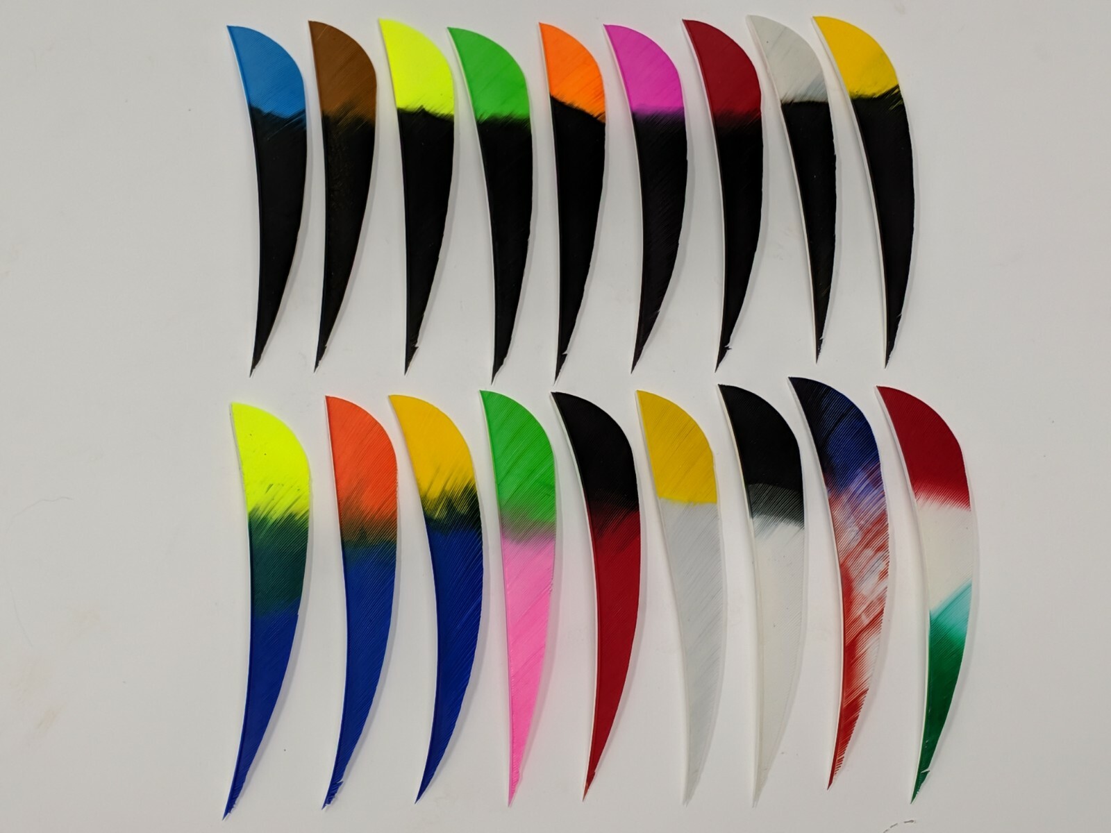 Archery Past 4" Parabolic Multi-Colored Feathers - 12 Pack, RW or LW