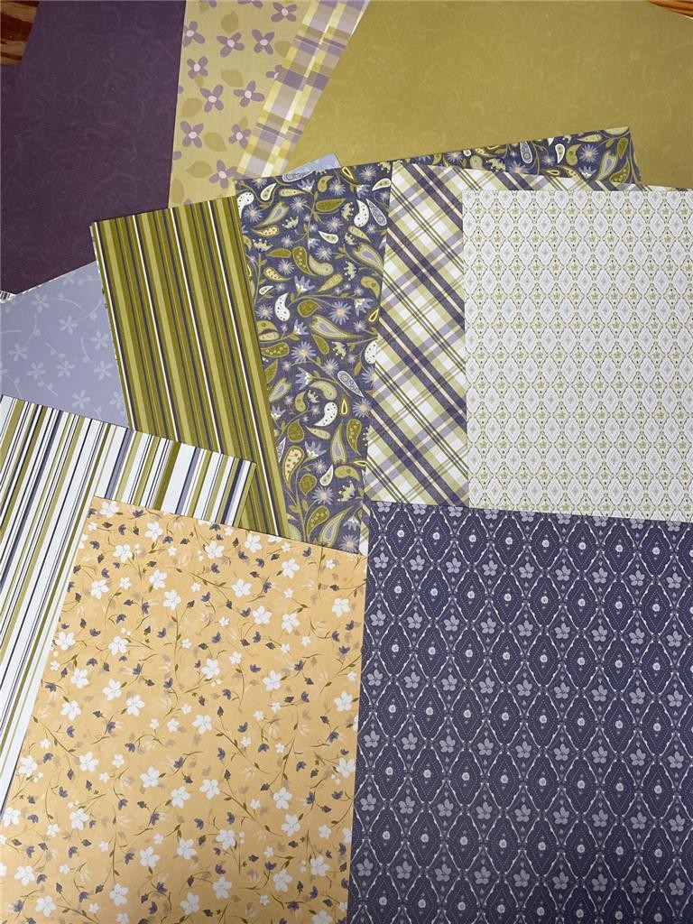 New CHATTERBOX SCRAPBOOK WALL12"X12" PARLOR Room 22 paper, 8 CARDSTOCK 5 vellum