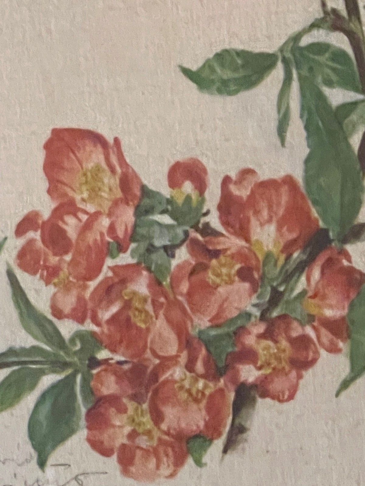 vintage wall art work gold green wood framed shabby chic Chaenomeles print READ