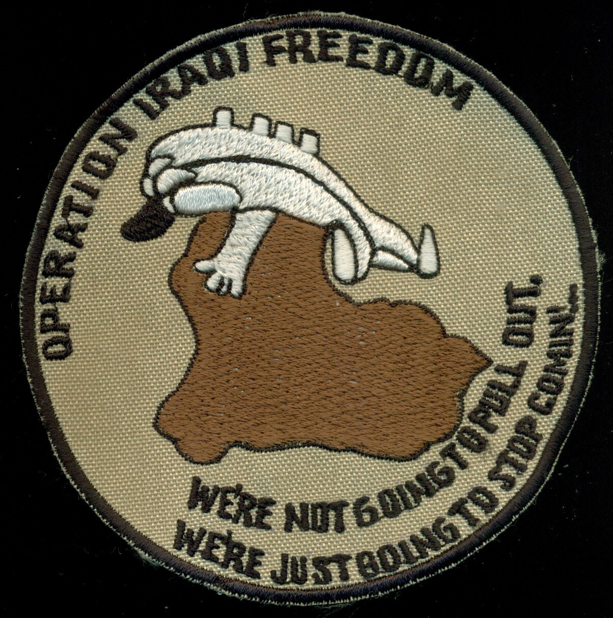 USAF 763rd ERS Expeditionary Reconnaissance Squadron Patch AA