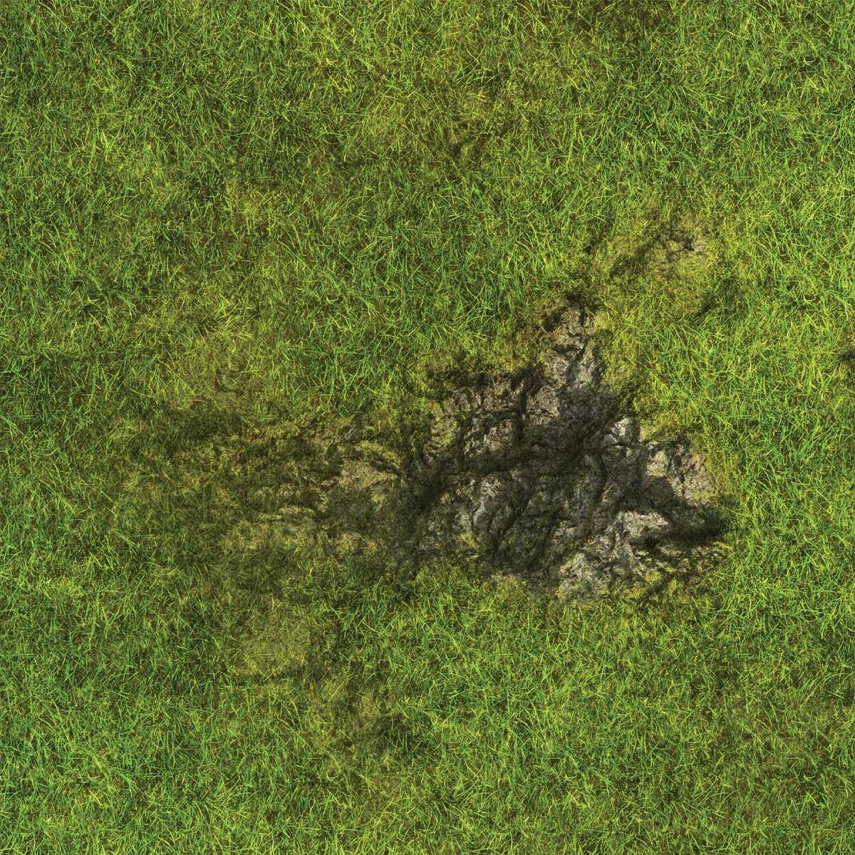 FLG Mats: Grasslands 1