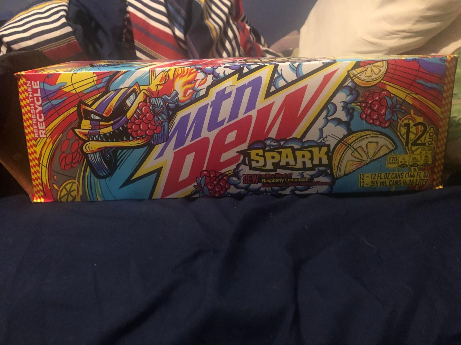 EMPTY 2024 MOUNTAIN DEW Mtn Dew: Spark 12 pk Box Decoration DIY Display