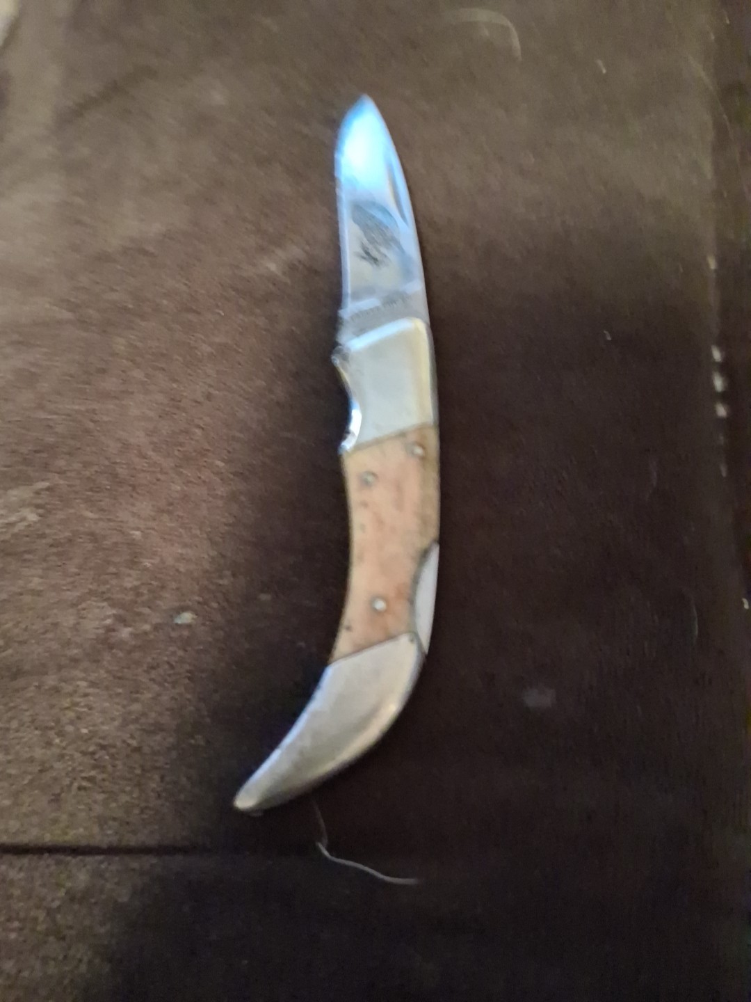 PARKER CUT CO SURGICAL STEEL EAGLE POCKET KNIFE (SEE DESC) This Is A Nice Knife