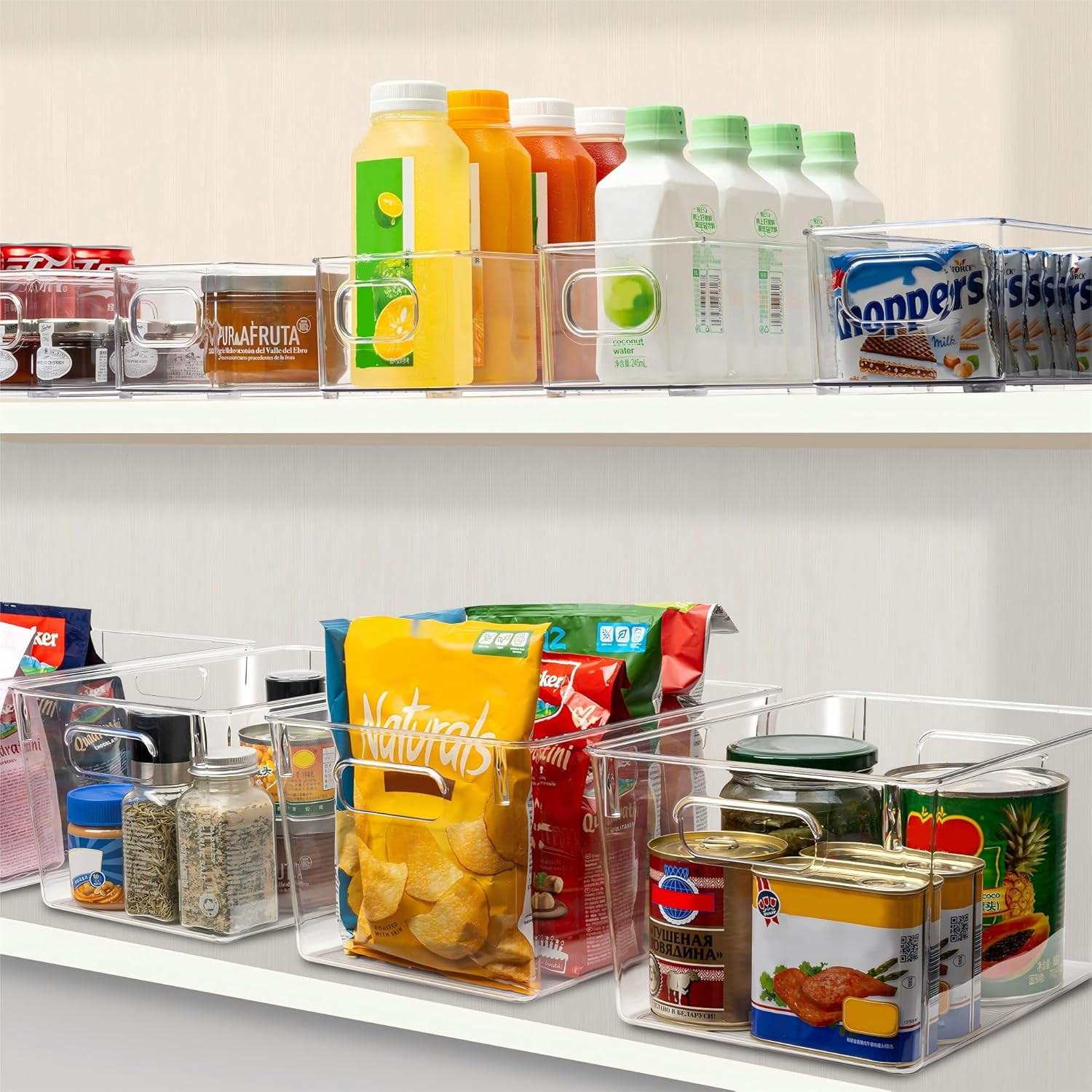 Set of 10 Clear Plastic Storage Bins, 4 Large and 6 Small Stackable Storage Cont