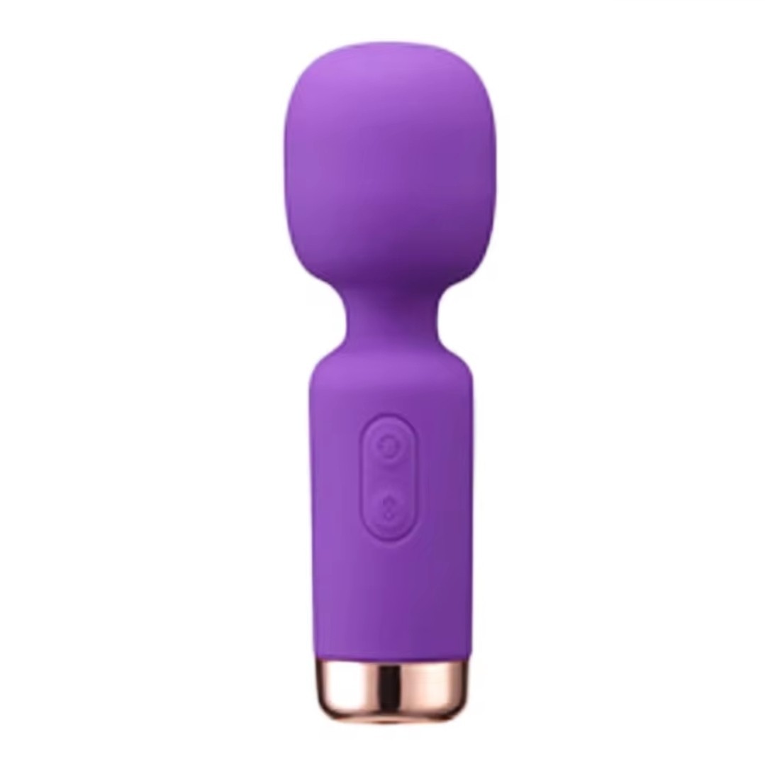 Luxury Silicone Rechargeable Mini Massage Wand Vibrator 10 Speed Purple Gold