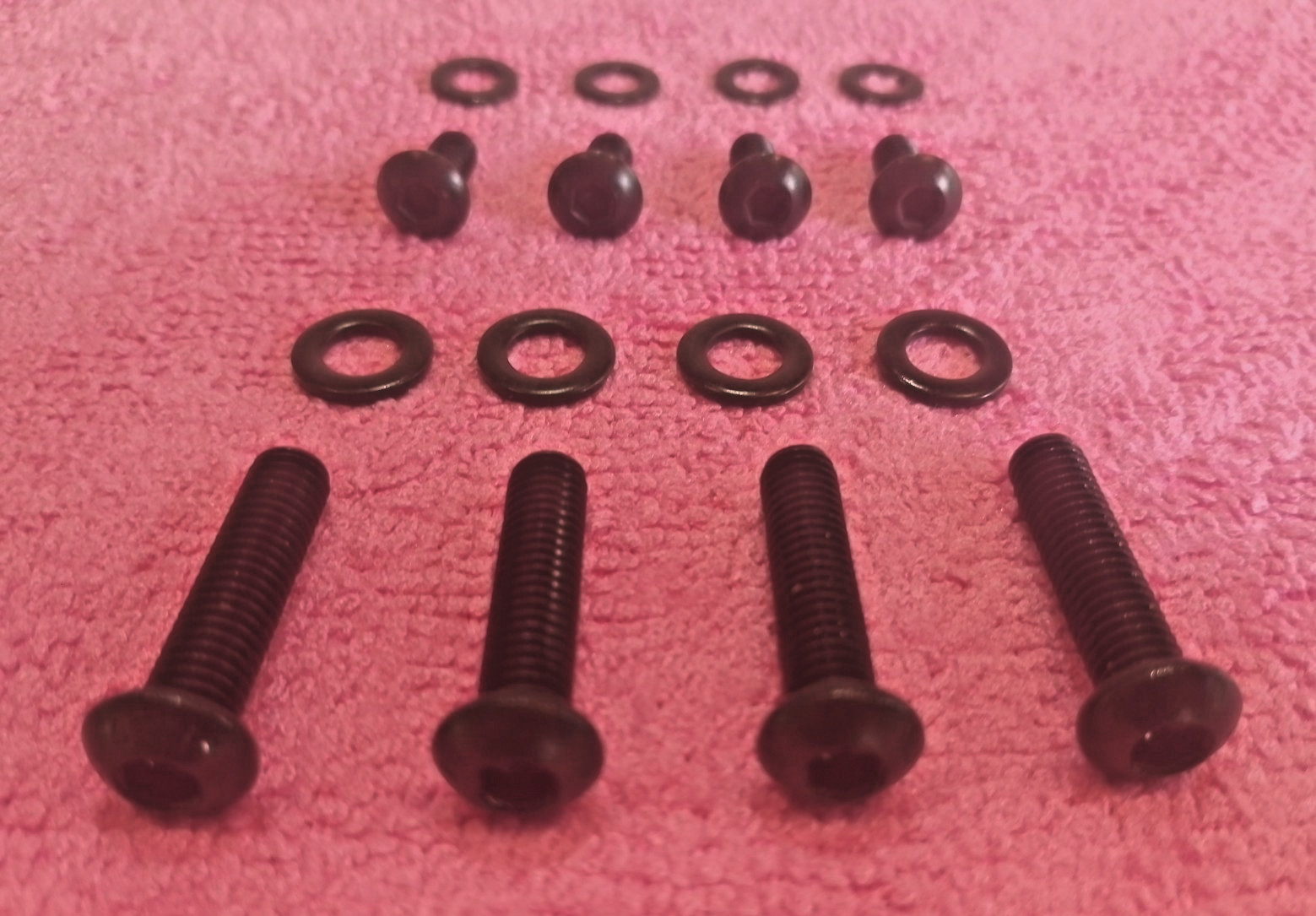 Black Stainless Handlebar Switch Screws. Sportster XL883, XL1200.  2004 to 2022.