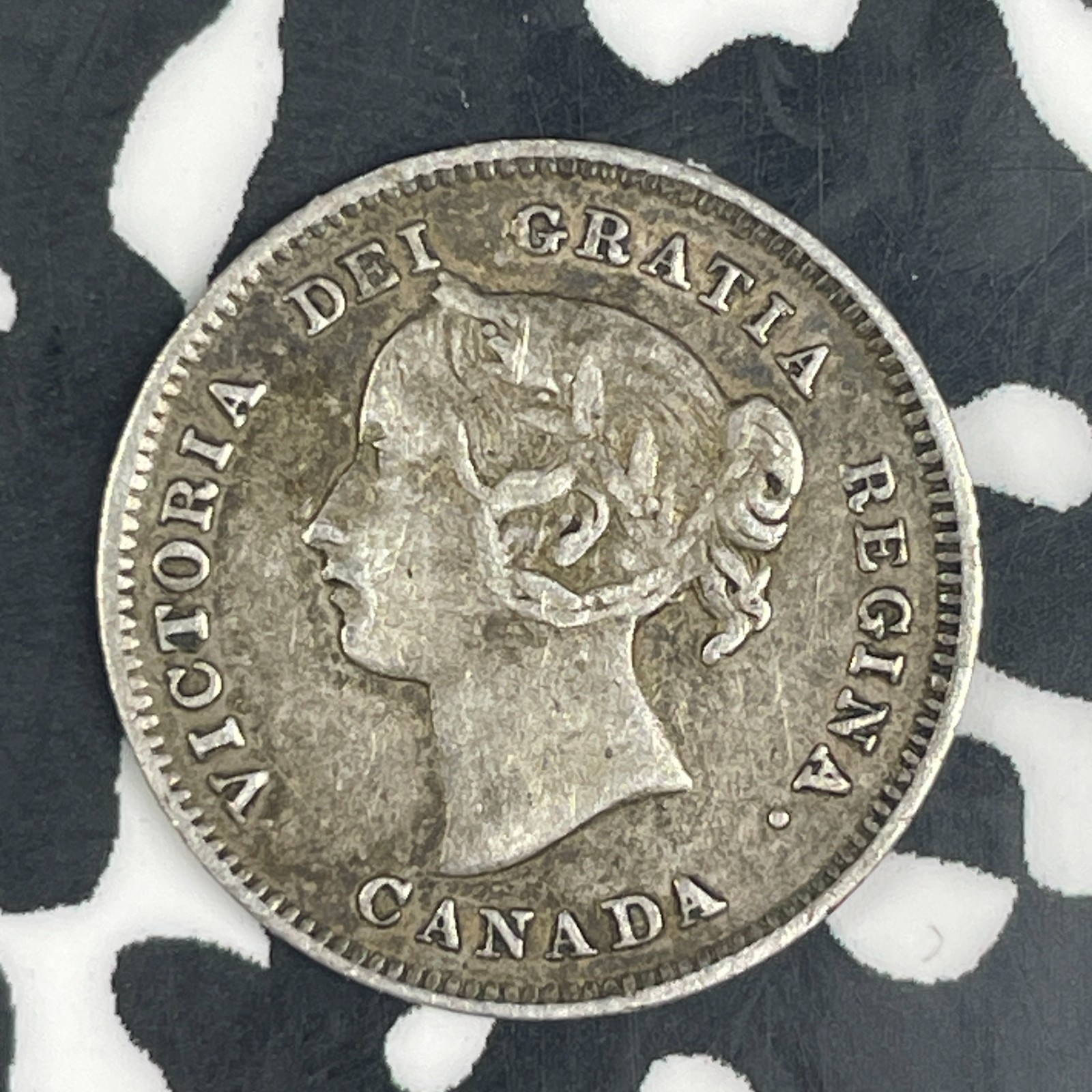 1901 Canada 5 Cents Lot#C9219 Silver! Nice!