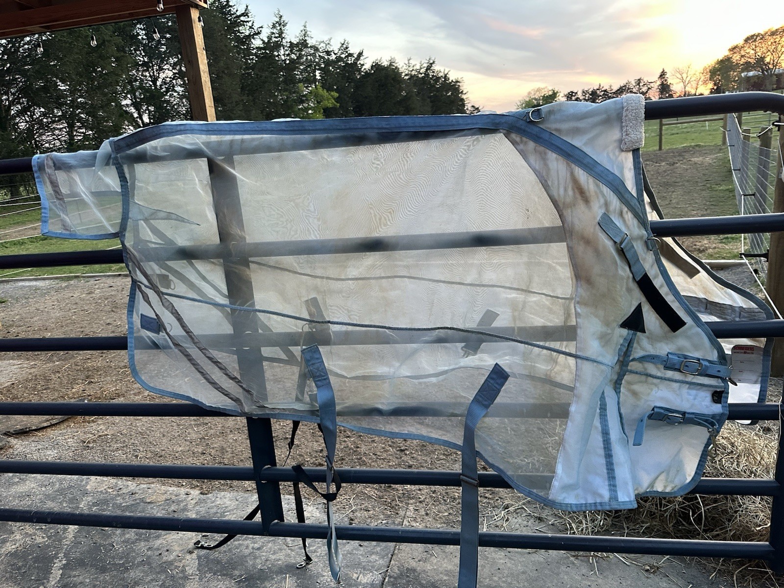 74” Lightweight Schneiders Horse Fly Sheet - Mosquito Mesh